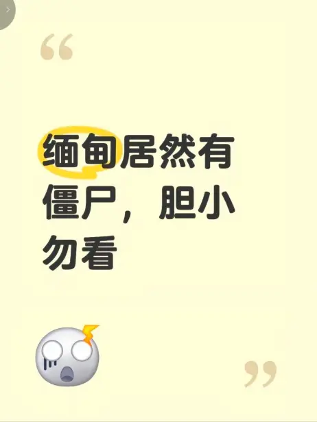 《缅甸僵尸出土事件》高清无删减免费观看 - 揭秘缅北神秘事件完整版视频在线播放 - 缅甸僵尸出土事件现场全程录像